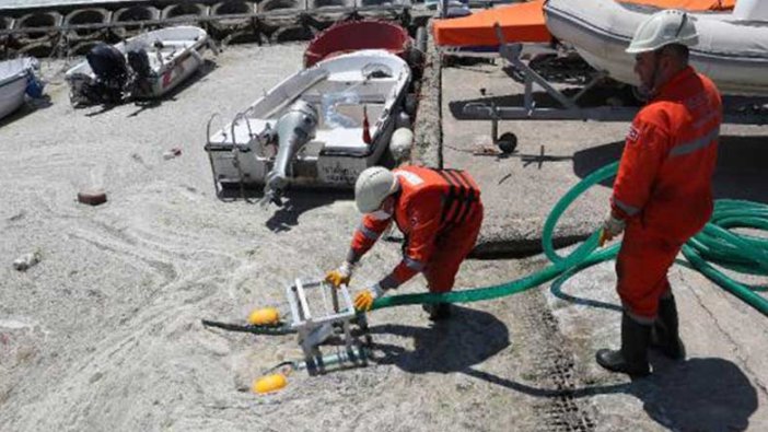 Deniz salyalarıyla ilgili ilk adım atıldı! Çalışmalar o bölgede başladı