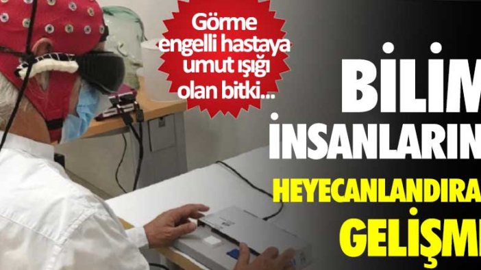 Bilim insanlarını heyecanlandıran gelime! Görme engelli hastaya umut ışığı olan bitki...