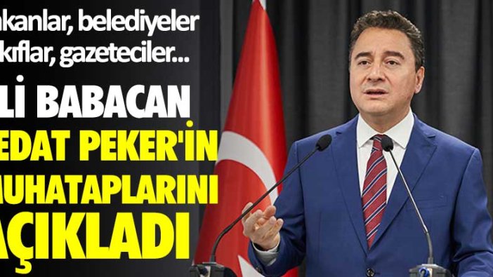 Ali Babacan, Sedat Peker'in muhataplarını açıkladı