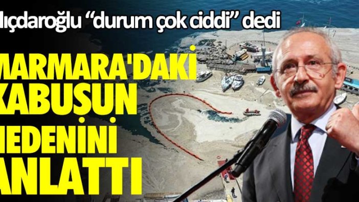 Kılıçdaroğlu "durum çok ciddi" dedi! Marmara'daki kabusun nedenini anlattı