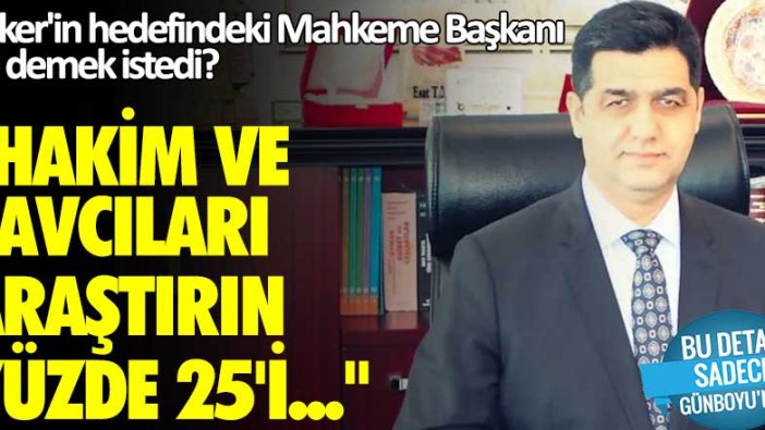 Peker'in hedefindeki Mahkeme Başkanı ne demek istedi? Hakim ve savcıları araştırın yüzde 25'i...