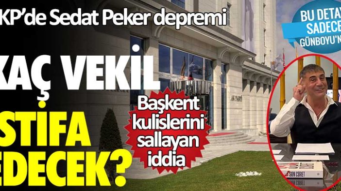 AKP'de Sedat Peker depremi! Kaç milletvekili istifa edecek