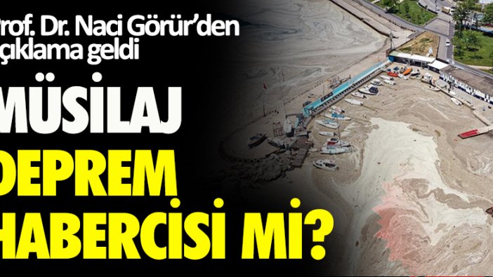 Prof. Dr. Naci Görür'den deprem ve müsilaj ilişkisi açıklaması