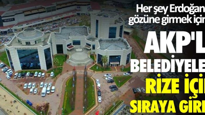 Her şey Erdoğan'ın gözüne girmek için... AKP'li belediyeler Rize için sıraya girdi