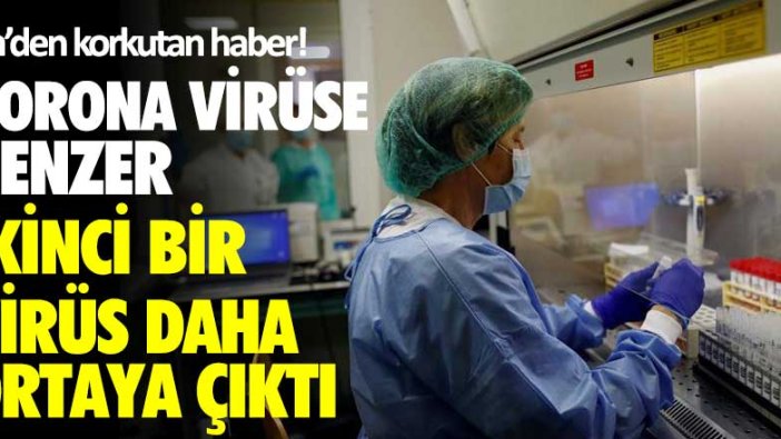 Çin'den korkutan haber! Korona virüse benzer ikinci bir virüs daha ortaya çıktı