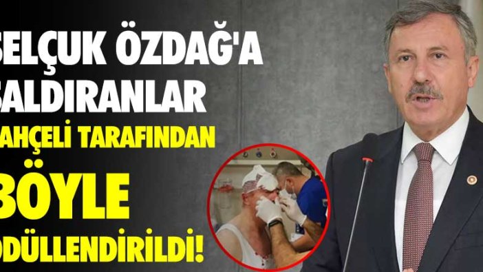 Selçuk Özdağ'a saldıranlar Bahçeli tarafından böyle ödüllendirildi!