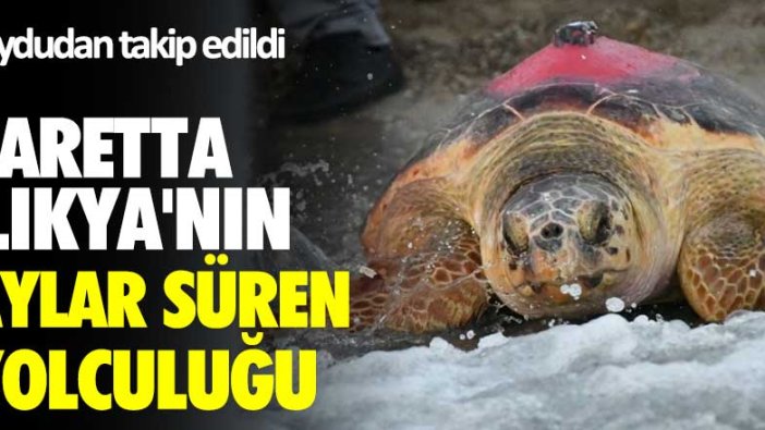 Caretta 'Likya'nın aylar süren yolculuğu! Uydudan takip edildi