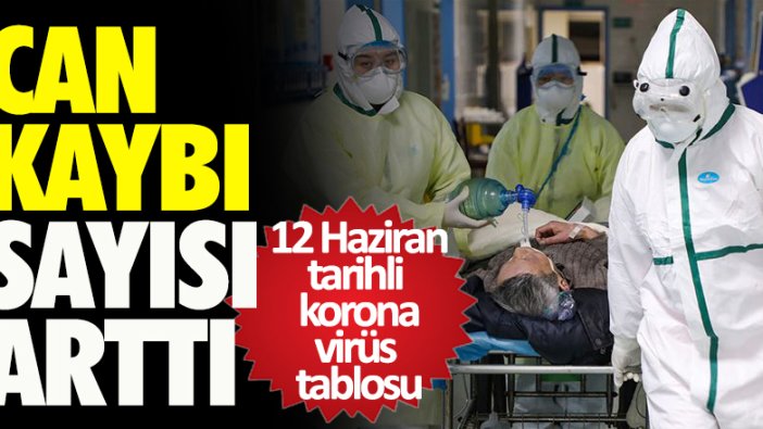 12 Haziran tarihli korona virüs tablosu