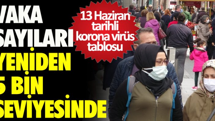 13 Haziran tarihli korona virüs tablosu açıklandı