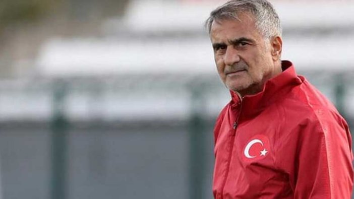 Şenol Güneş'ten Galler maçında değişiklikler!