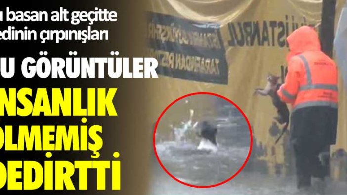 Su basan alt geçitte kedinin çırpınışları! Bu görüntüler insanlık ölmemiş dedirtti