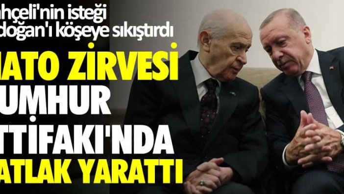 Erdoğan yalnız mı kaldı? NATO Zirvesi Cumhur İttifakı'nda çatlak yarattı 