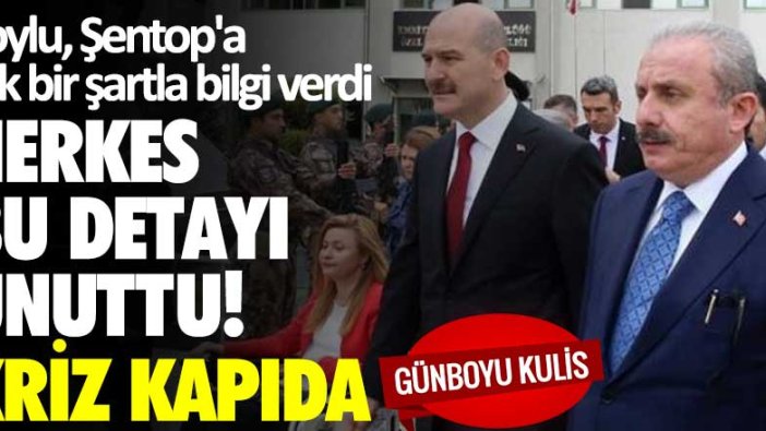 Süleyman Soylu, Mustafa Şentop'a tek bir şartla bilgi verdi... Herkes bu detayı unuttu! Kriz kapıda