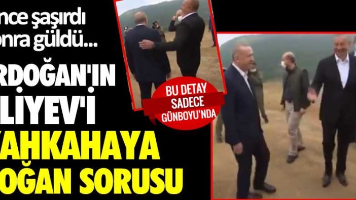 Önce şaşırdı sonra güldü... Erdoğan'ın Aliyev'i kahkahaya boğan sorusu