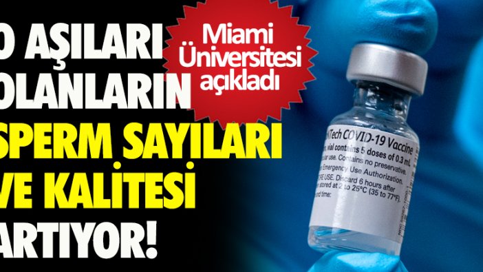 Miami Üniversitesi: Biontech ve Moderna aşıları sperm sayısını artırıyor