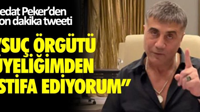 Sedat Peker: Suç örgütü üyeliğimden istifa ediyorum