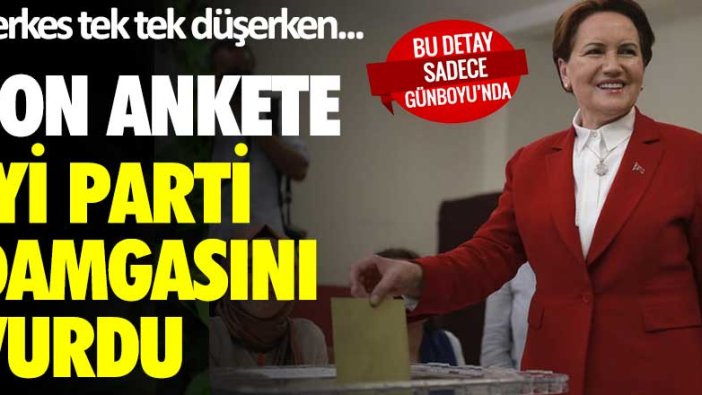 Herkes tek tek düşerken... Son ankete İYİ Parti damgasını vurdu