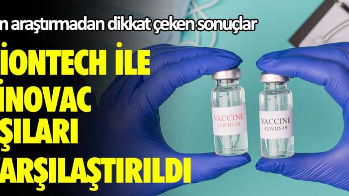 BioNTech ile Sinovac aşıları karşılaştırıldı! Son araştırmadan dikkat çeken sonuçlar