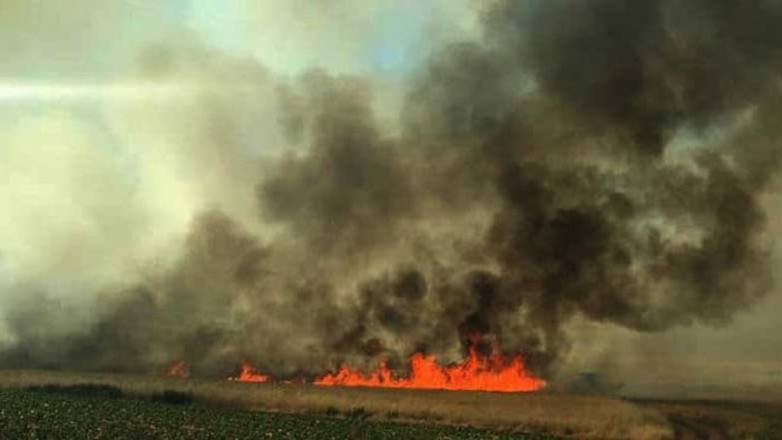 Gaziantep'te buğday tarlası kül oldu!