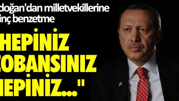 Erdoğan'dan milletvekillerine ilginç benzetme: Hepiniz çobansınız, hepiniz sürünüzden...