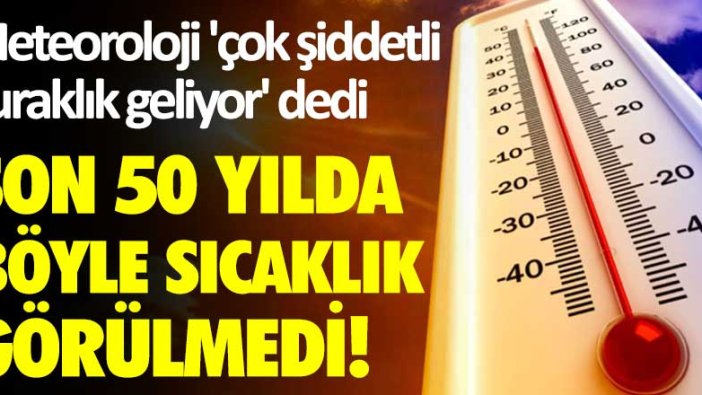 Son 50 yılda böyle sıcaklık görülmedi! Meteoroloji 'çok şiddetli kuraklık geliyor' dedi