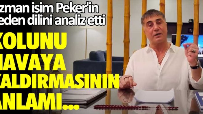 Uzman isim Peker'in beden dilini analiz etti: Kolunu kaldırmasının anlamı...