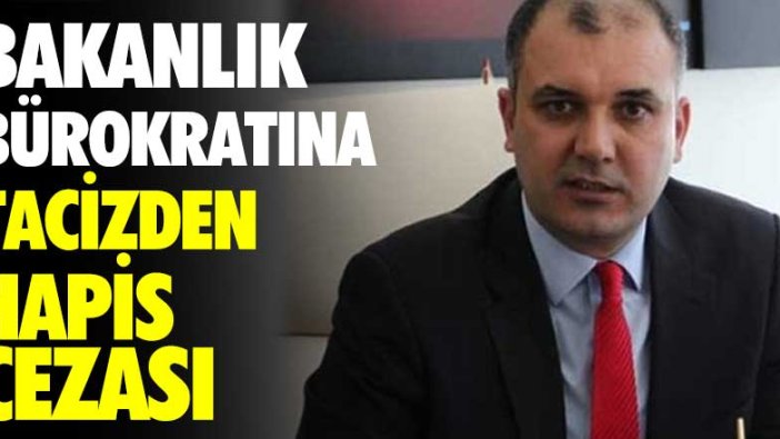 Bakanlık bürokratına tacizden hapis cezası