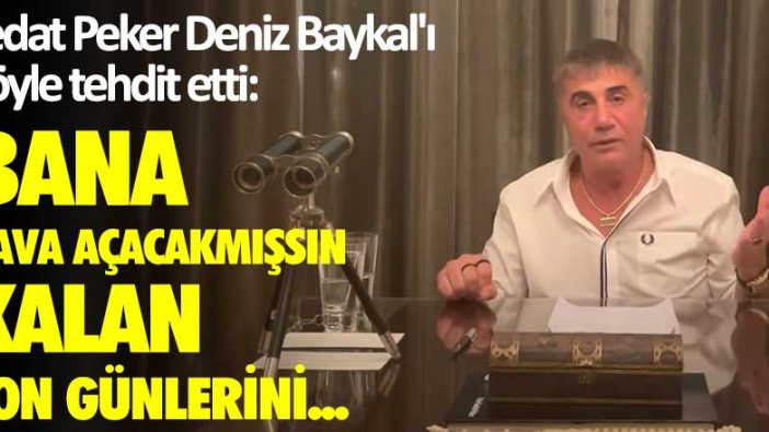 Sedat Peker Deniz Baykal'ı böyle tehdit etti: Bana dava açacakmışsın, kalan son günlerini...