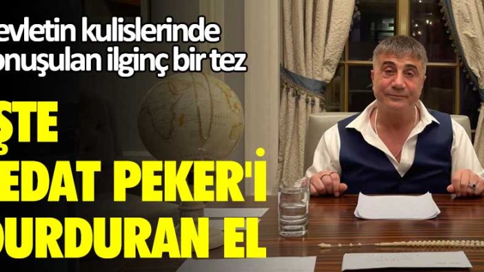 Devletin kulislerinde konuşulan ilginç bir tez! İşte  Sedat Peker'i durduran el