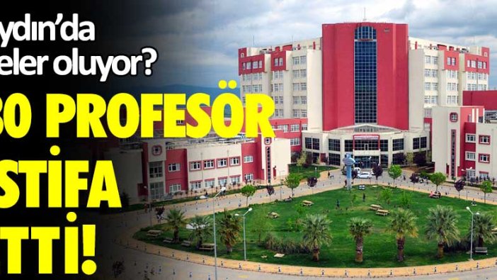 Aydın'da neler oluyor! 30 profesör istifa etti