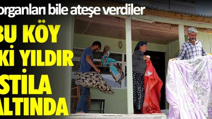 Van'da, mahalleyi bit ve pireler sardı