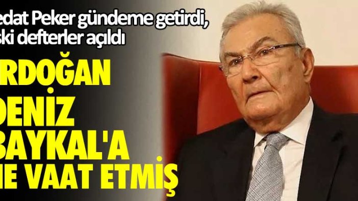 Sedat Peker gündeme getirdi, eski defterler açıldı! Erdoğan, Deniz Baykal'a ne vaat etmiş