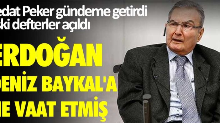 Sedat Peker gündeme getirdi, eski defterler açıldı! Erdoğan Deniz Baykal'a ne vaat etmiş?