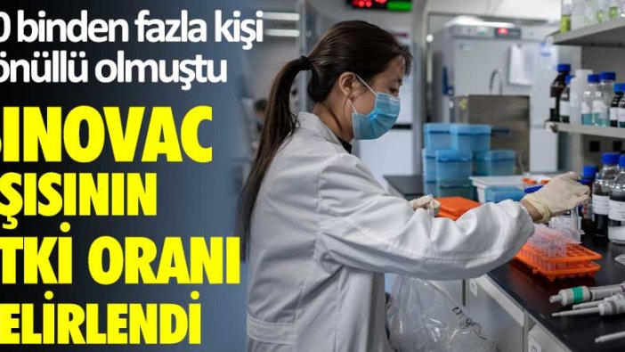 10 binden fazla kişi gönüllü olmuştu! Sinovac aşısının etki oranı belirlendi!