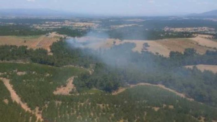 Çanakkale'de orman yangını