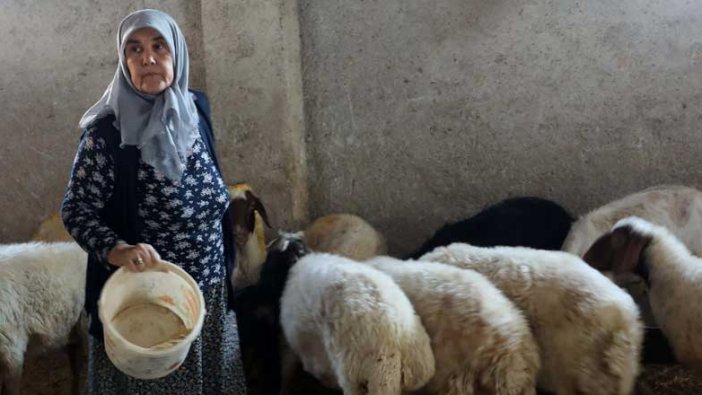 Kadınsın yapamazsın diyenlere inat Gülçin Sakaroğlu kendi çiftliğini kurdu