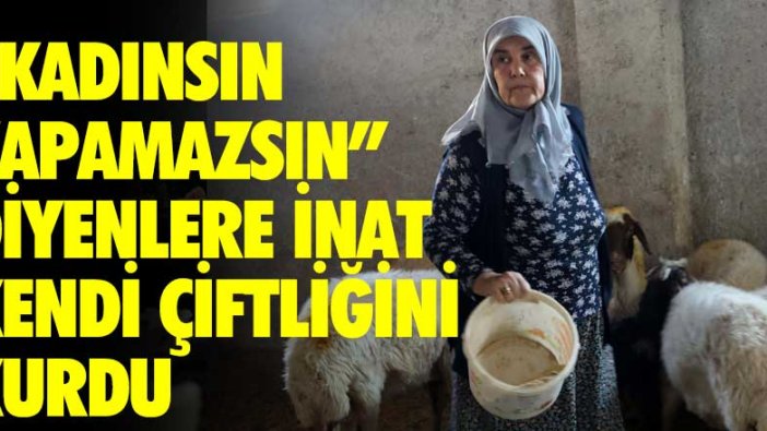 Kadınsın yapamazsın diyenlere inat Gülçin Sakaroğlu kendi çiftliğini kurdu