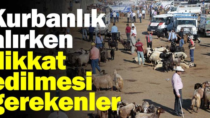 Kurbanlık alırken dikkat edilmesi gerekenler