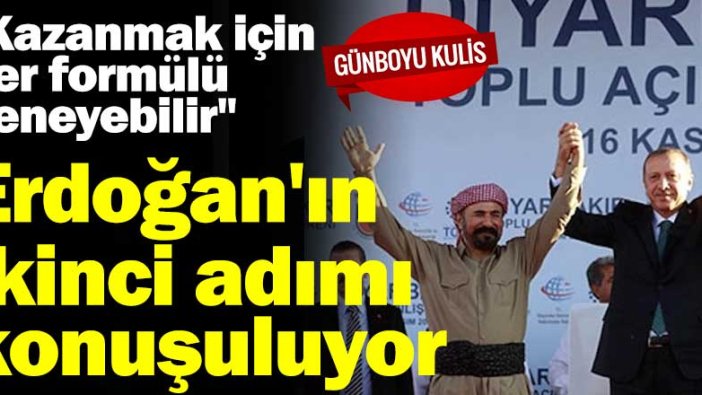 Erdoğan'ın ikinci adımı konuşuluyor: "Kazanmak için her formülü  deneyebilir"