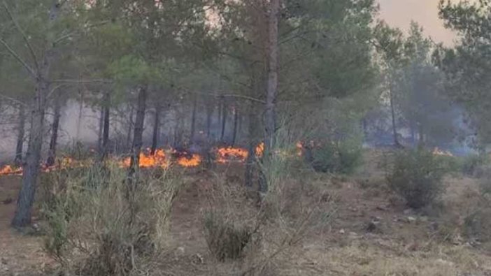 Mersin'de orman yangını