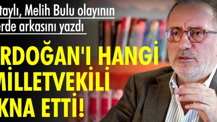 Erdoğan'ı hangi milletvekili ikna etti! Melih Bulu olayının perde arkasını yazdı