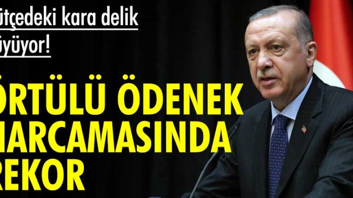 Bütçedeki kara delik büyüyor! Örtülü ödenek harcamasında rekor