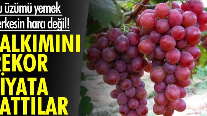 Bu üzümü yemek herkesin harcı değil! Salkımını rekor fiyata sattılar