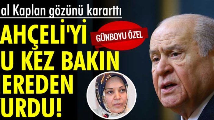 Hilal Kaplan gözünü karartı! Bahçeli'yi bu kez bakın nereden vurdu