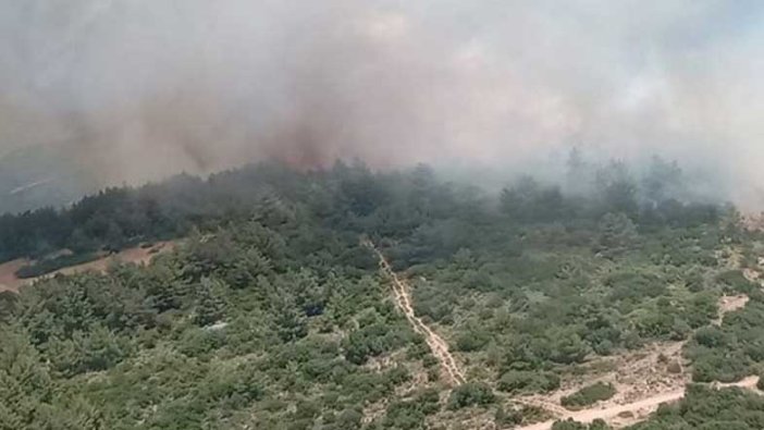 İzmir'de makilik alanda yangın