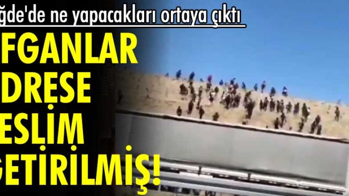 Yıldıray Oğur yazdı: Niğde'de ne yapacakları ortaya çıktı! Afganlar adrese teslim getirilmiş