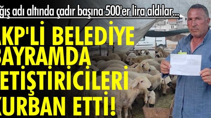 AKP'li belediye bayramda yetiştiricileri kurban etti! Bağış adı altında çadır başına 500'er lira aldılar...