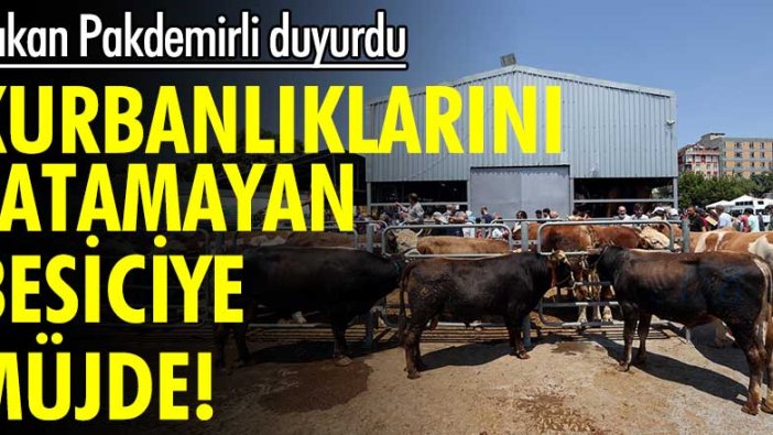 Kurbanlıklarını satamayan besiciye müjde! Bakan Bekir Pakdemirli duyurdu