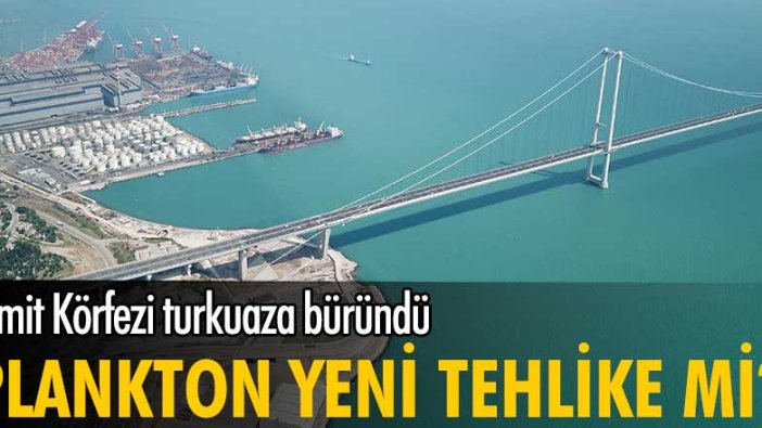 Plankton yeni tehlike mi? İzmit Körfezi turkuaz büründü.