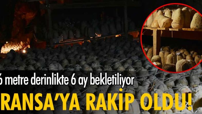 Divle obruk peyniri Fransızların ünlü 'rokfor' peynirine rakip oldu!